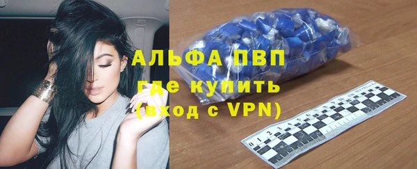 стаф Балахна