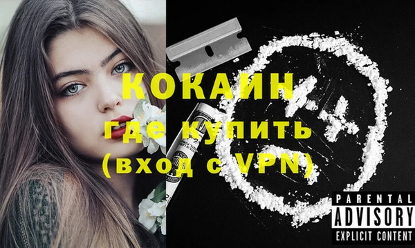 стаф Балахна