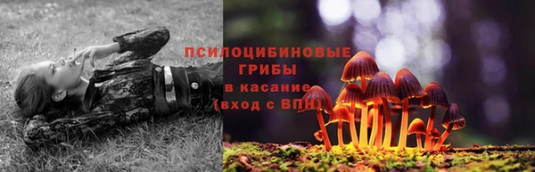 mix Баксан